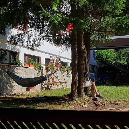 Hotel Randunica Văliug Zewnętrze zdjęcie