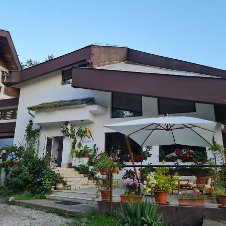 Hotel Randunica Văliug Zewnętrze zdjęcie