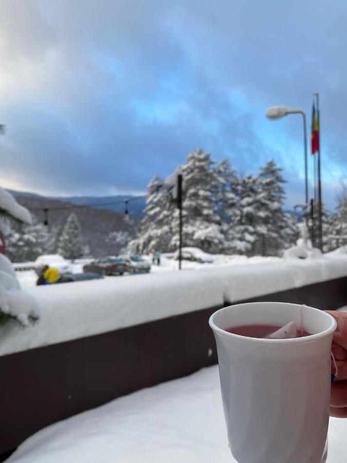 Hotel Randunica Văliug Zewnętrze zdjęcie