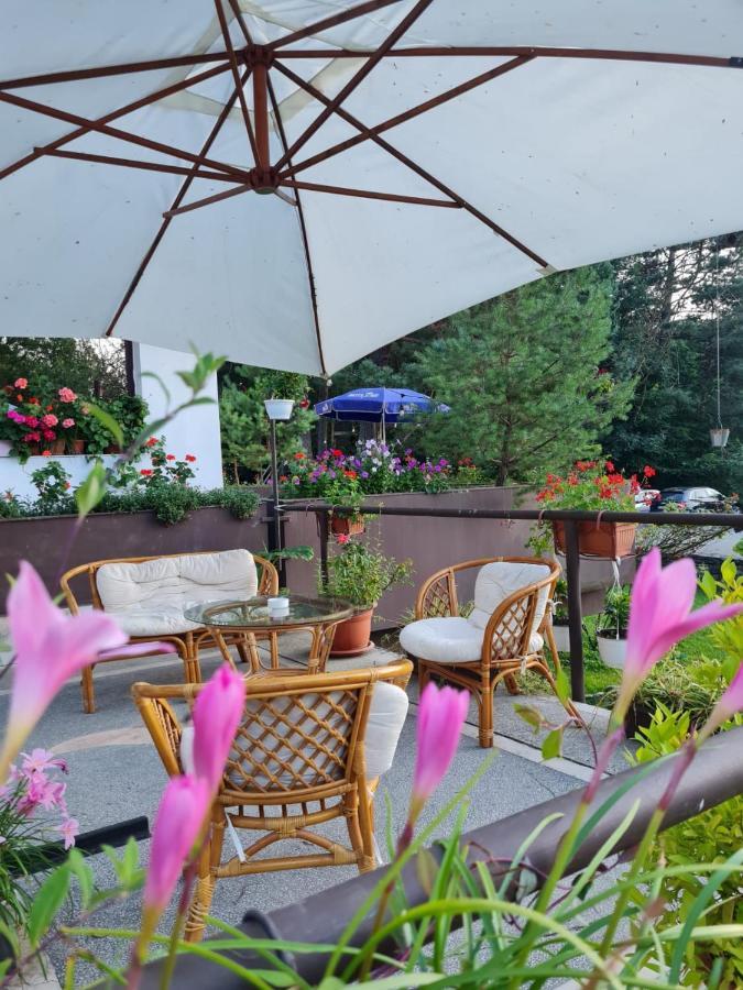 Hotel Randunica Văliug Zewnętrze zdjęcie