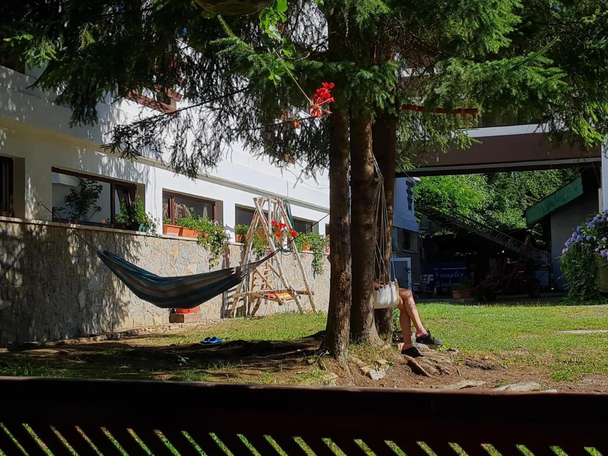 Hotel Randunica Văliug Zewnętrze zdjęcie