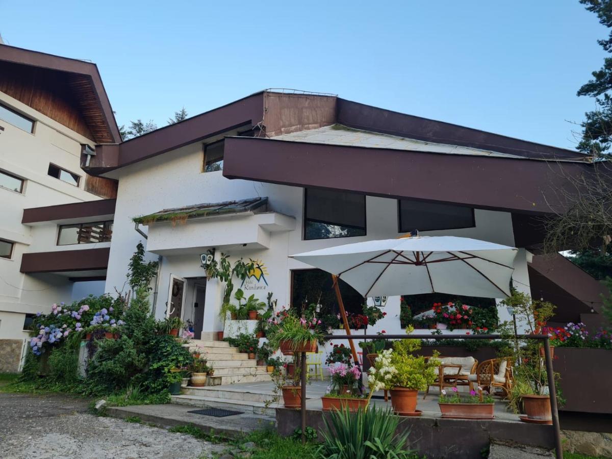 Hotel Randunica Văliug Zewnętrze zdjęcie