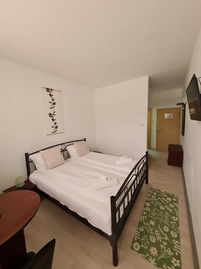 Hotel Randunica Văliug Zewnętrze zdjęcie